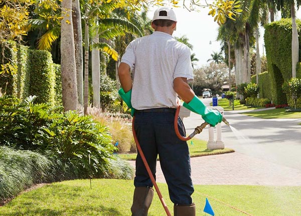 About Ludowici GA Pest Control Pros